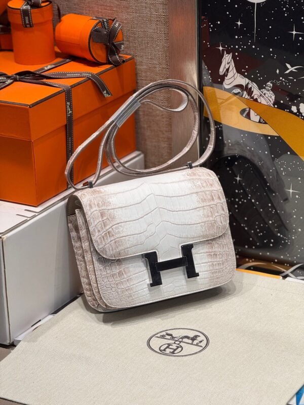Hermès Constance 18CM Himalaya 01 Matter Crocodile Silver Hardware French Handmade