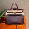 Birkin 25CM Touch Bordeaux Chever / Crocodile Leather Gold Hardware French Handmade Perfect Quality