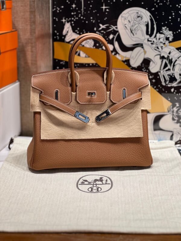 Birkin 25CM CK37 Gold Togo Leather Silver Hardware French Handmade Perfect Quality