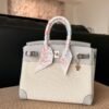 HERMÈS Birkin 25cm P0 Pantine Swift Leather & Canvas Silver Hardware – French Handmade