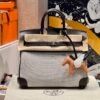 Sac Birkin 25CM Toile CK46 Ebene Swift Leather : Canvas Silver Hardware French Handmade Perfect Quality Sac Birkin 25CM Toile CK46 Ebene Swift Leather / Canvas Silver Hardware French Handmade Perfect Quality